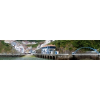 Фартук из стекла с фотопечатью 01-00-57