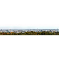 Фартук из стекла с фотопечатью 01-00-65