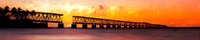 Фартук из стекла с фотопечатью 22-00-04